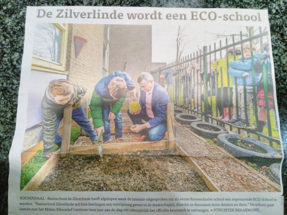 Eco schools krant